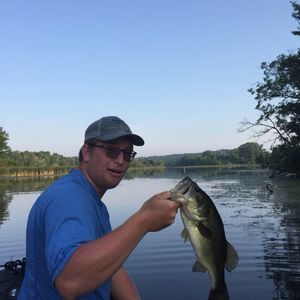 Meet your Posher, Phillip